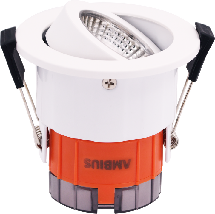 Dual Power 4/8W LED 90mm 3K 4K Tilt Downlight